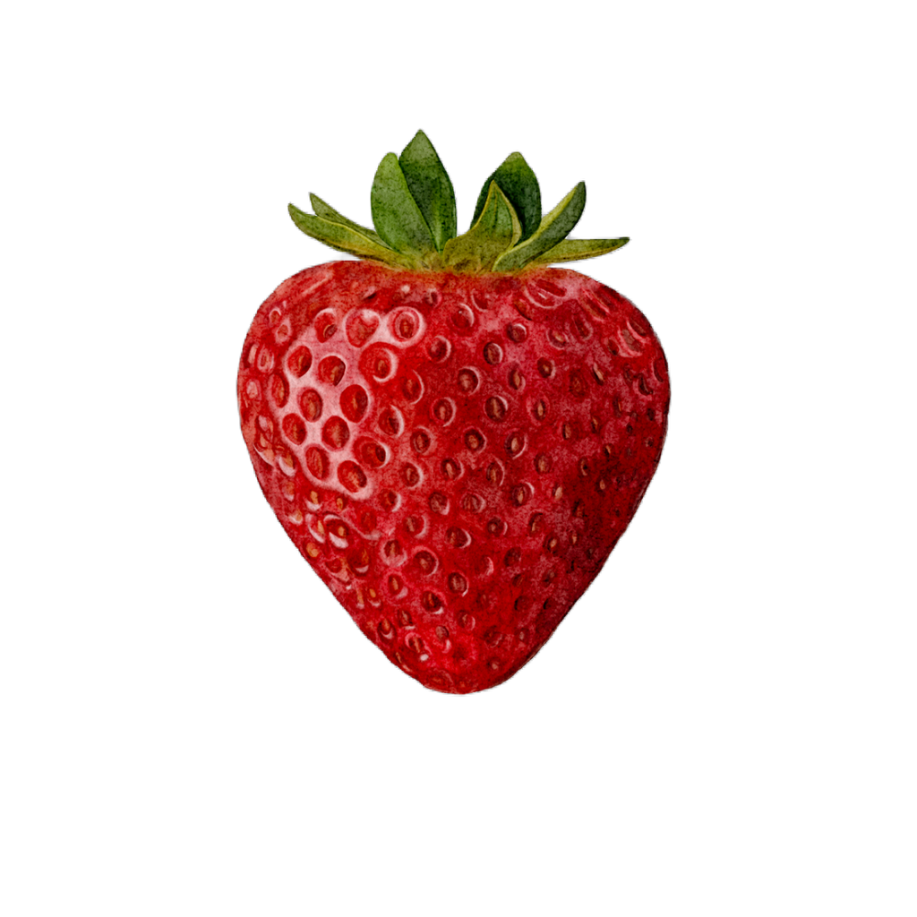 Sticker - Strawberry