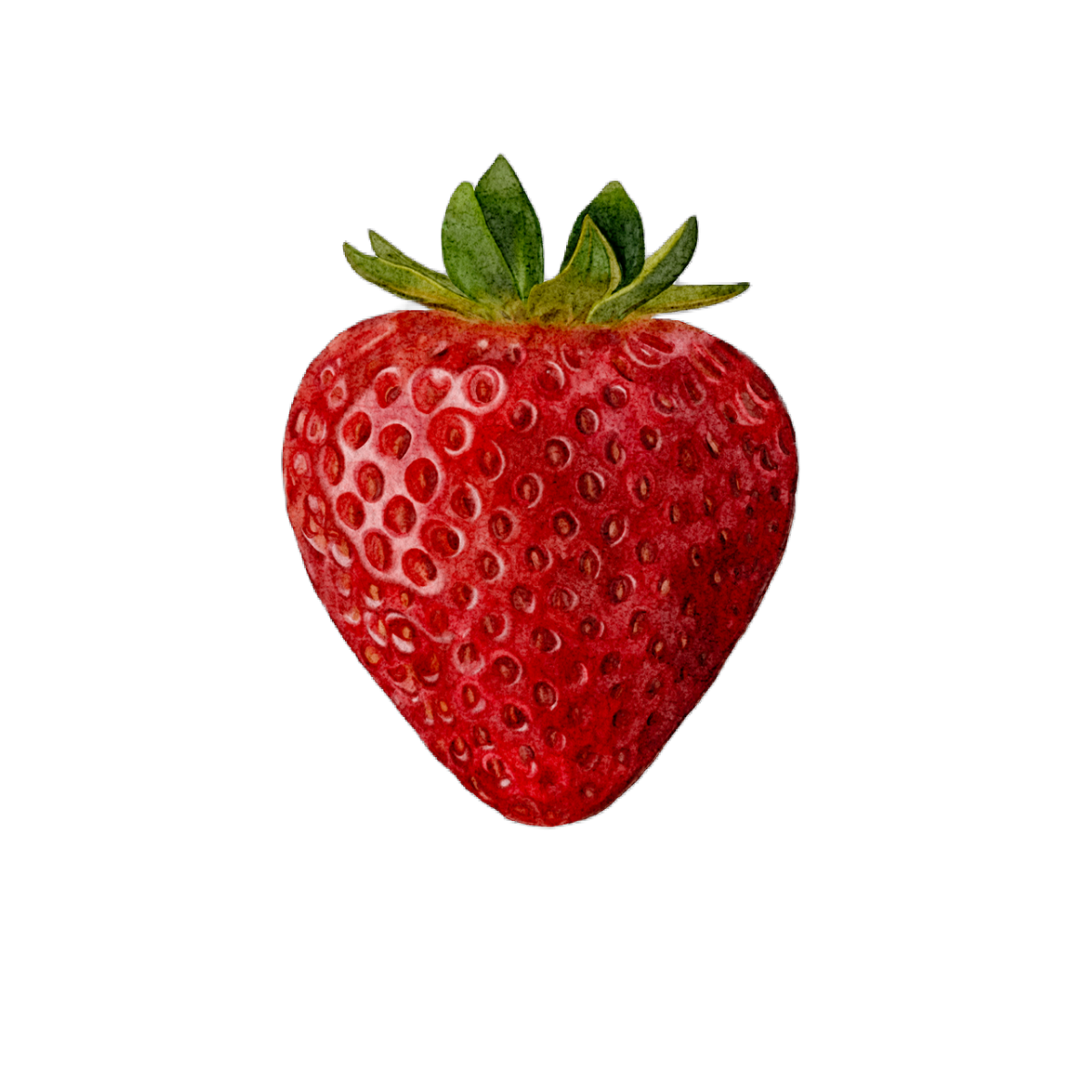 Sticker - Strawberry
