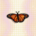 Sticker - Monarch Butterfly