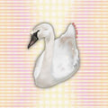 Sticker - Swan